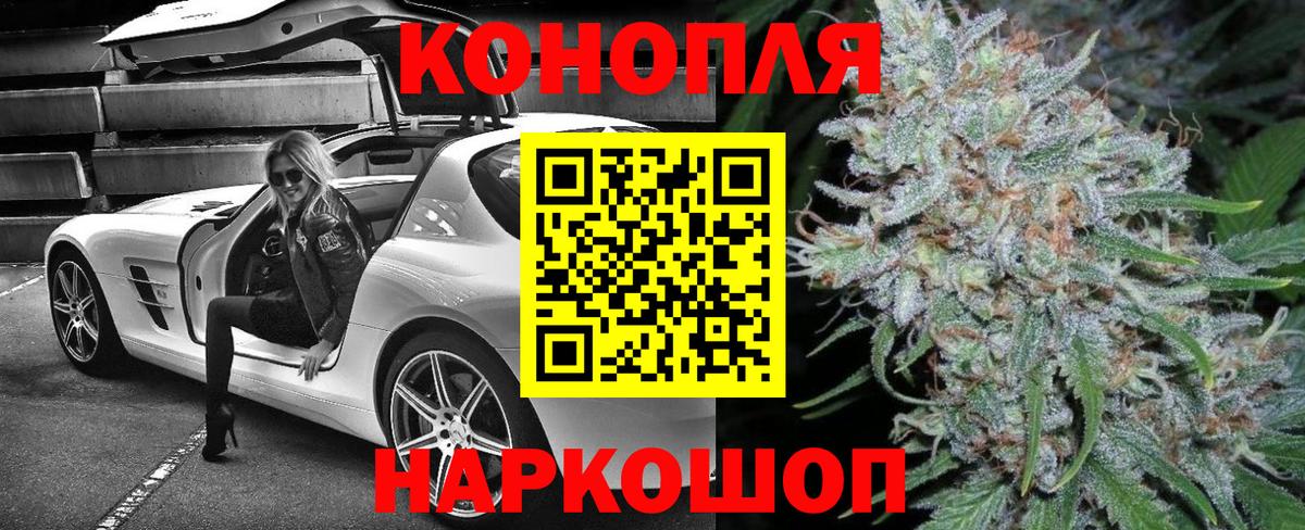 Канабис сатива Нурлат
